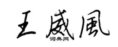 王正良王威風行書個性簽名怎么寫