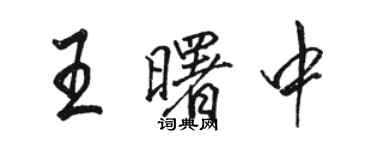 駱恆光王曙中行書個性簽名怎么寫