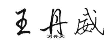 駱恆光王丹威行書個性簽名怎么寫