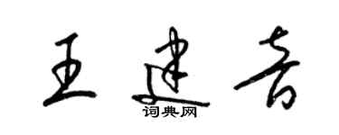 梁錦英王建音草書個性簽名怎么寫