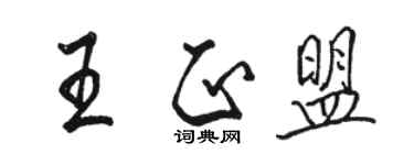 駱恆光王正盟行書個性簽名怎么寫
