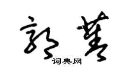 朱錫榮郭菁草書個性簽名怎么寫