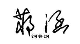 朱錫榮蔣涵草書個性簽名怎么寫