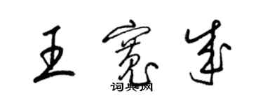 梁錦英王寬成草書個性簽名怎么寫