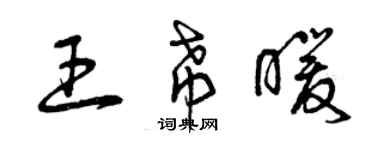 曾慶福王希暖草書個性簽名怎么寫