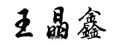 胡問遂王晶鑫行書個性簽名怎么寫
