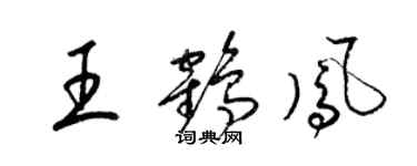 梁錦英王鶴鳳草書個性簽名怎么寫