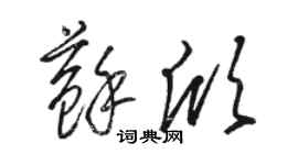 駱恆光蘇欣草書個性簽名怎么寫