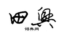 朱錫榮田興草書個性簽名怎么寫