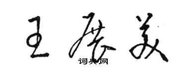 駱恆光王展美草書個性簽名怎么寫