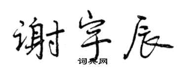 曾慶福謝宇辰行書個性簽名怎么寫