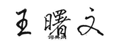 駱恆光王曙文行書個性簽名怎么寫