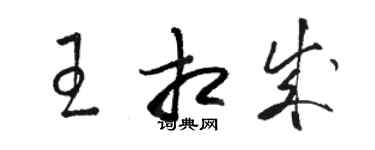 駱恆光王相成草書個性簽名怎么寫