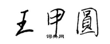 王正良王甲圓行書個性簽名怎么寫