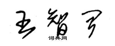 朱錫榮王智聞草書個性簽名怎么寫