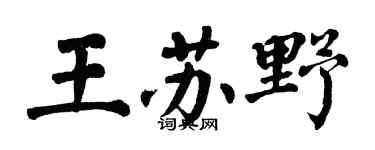翁闓運王蘇野楷書個性簽名怎么寫