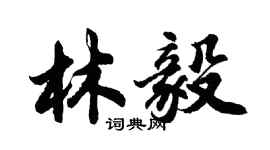 胡問遂林毅行書個性簽名怎么寫