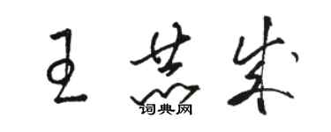 駱恆光王赫成草書個性簽名怎么寫