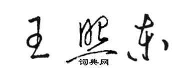 駱恆光王照東草書個性簽名怎么寫