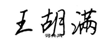 王正良王胡滿行書個性簽名怎么寫
