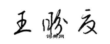 梁錦英王盼夏草書個性簽名怎么寫