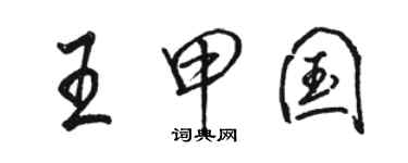 駱恆光王甲國行書個性簽名怎么寫