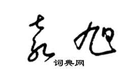 梁錦英袁旭草書個性簽名怎么寫