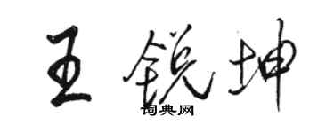 駱恆光王銳坤行書個性簽名怎么寫