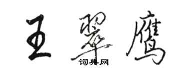 駱恆光王翠鷹行書個性簽名怎么寫