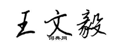 王正良王文毅行書個性簽名怎么寫