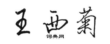 駱恆光王西菊行書個性簽名怎么寫