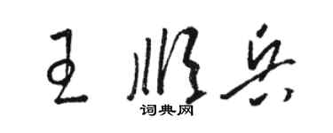 駱恆光王順兵草書個性簽名怎么寫