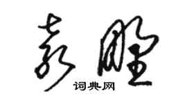 駱恆光袁野草書個性簽名怎么寫