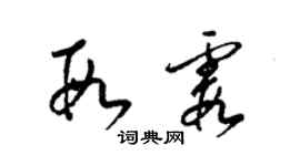 梁錦英段霞草書個性簽名怎么寫