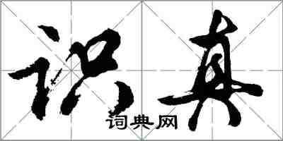 胡問遂識真行書怎么寫