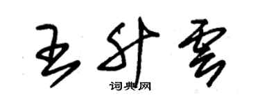 朱錫榮王升雲草書個性簽名怎么寫