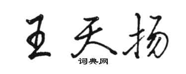 駱恆光王天揚行書個性簽名怎么寫