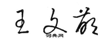 駱恆光王文萌草書個性簽名怎么寫