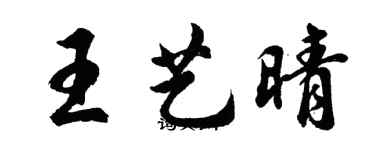 胡問遂王藝晴行書個性簽名怎么寫