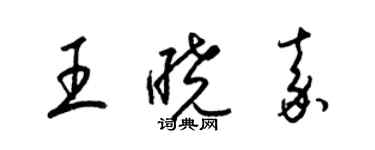 梁錦英王曉嘉草書個性簽名怎么寫