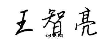 王正良王智亮行書個性簽名怎么寫