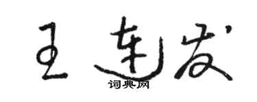 駱恆光王連發草書個性簽名怎么寫