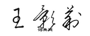 駱恆光王影莉草書個性簽名怎么寫