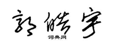 朱錫榮郭皓宇草書個性簽名怎么寫