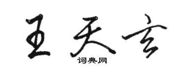 駱恆光王天玄行書個性簽名怎么寫