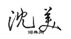 駱恆光沈美行書個性簽名怎么寫