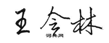 駱恆光王會林行書個性簽名怎么寫