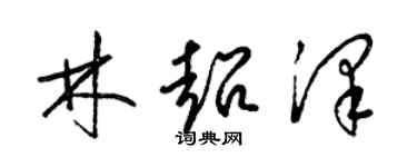 梁錦英林超澤草書個性簽名怎么寫