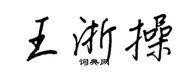 王正良王浙操行書個性簽名怎么寫