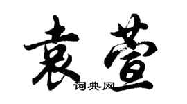 胡問遂袁萱行書個性簽名怎么寫